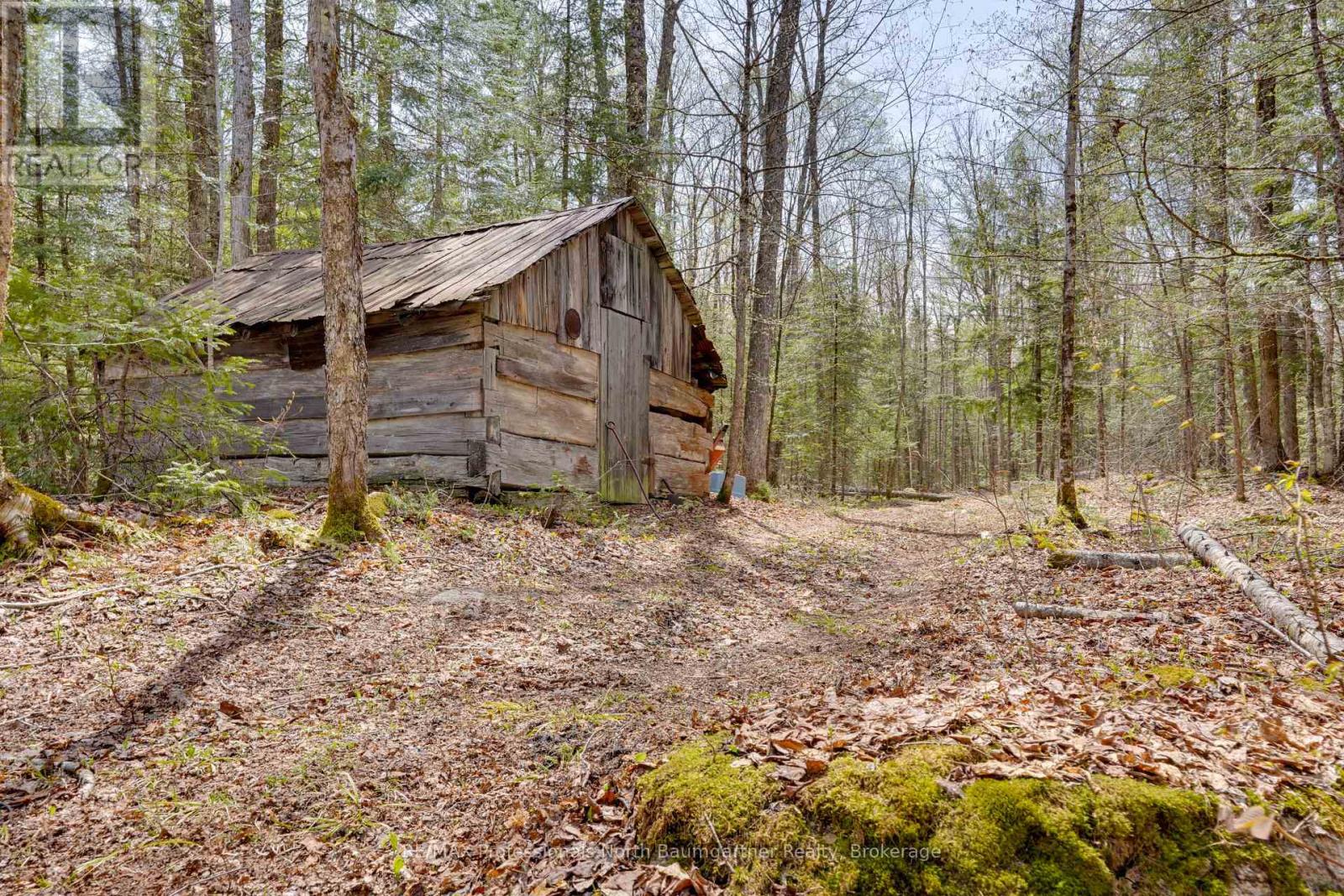 0 Lochlin Road, Minden Hills, Ontario K0M 1S0 - Photo 4 - X13149738