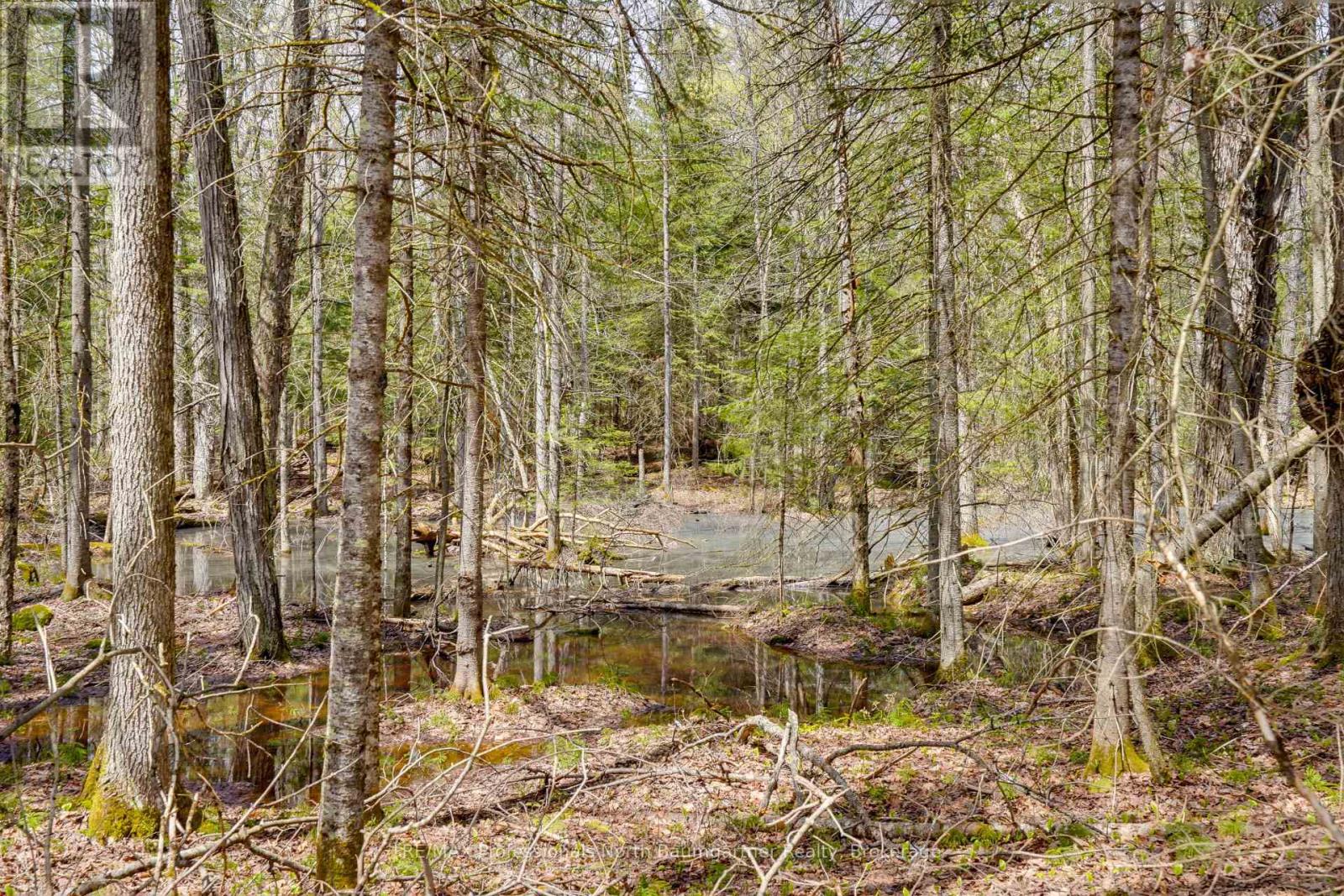 0 Lochlin Road, Minden Hills, Ontario K0M 1S0 - Photo 5 - X13149738