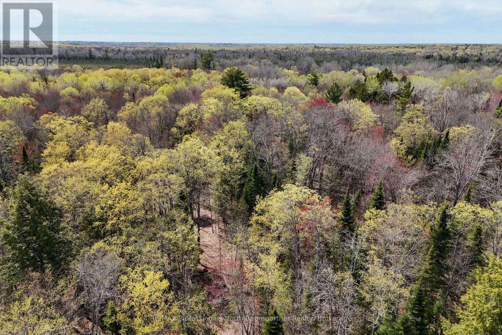 0 Lochlin Road, Minden Hills, Ontario K0M 1S0 - Photo 6 - X13149738