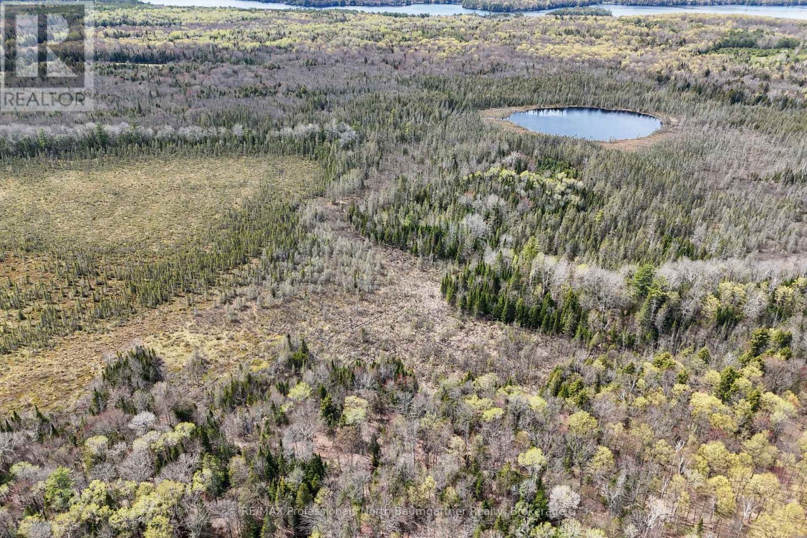 0 Lochlin Road, Minden Hills, Ontario K0M 1S0 - Photo 8 - X13149738