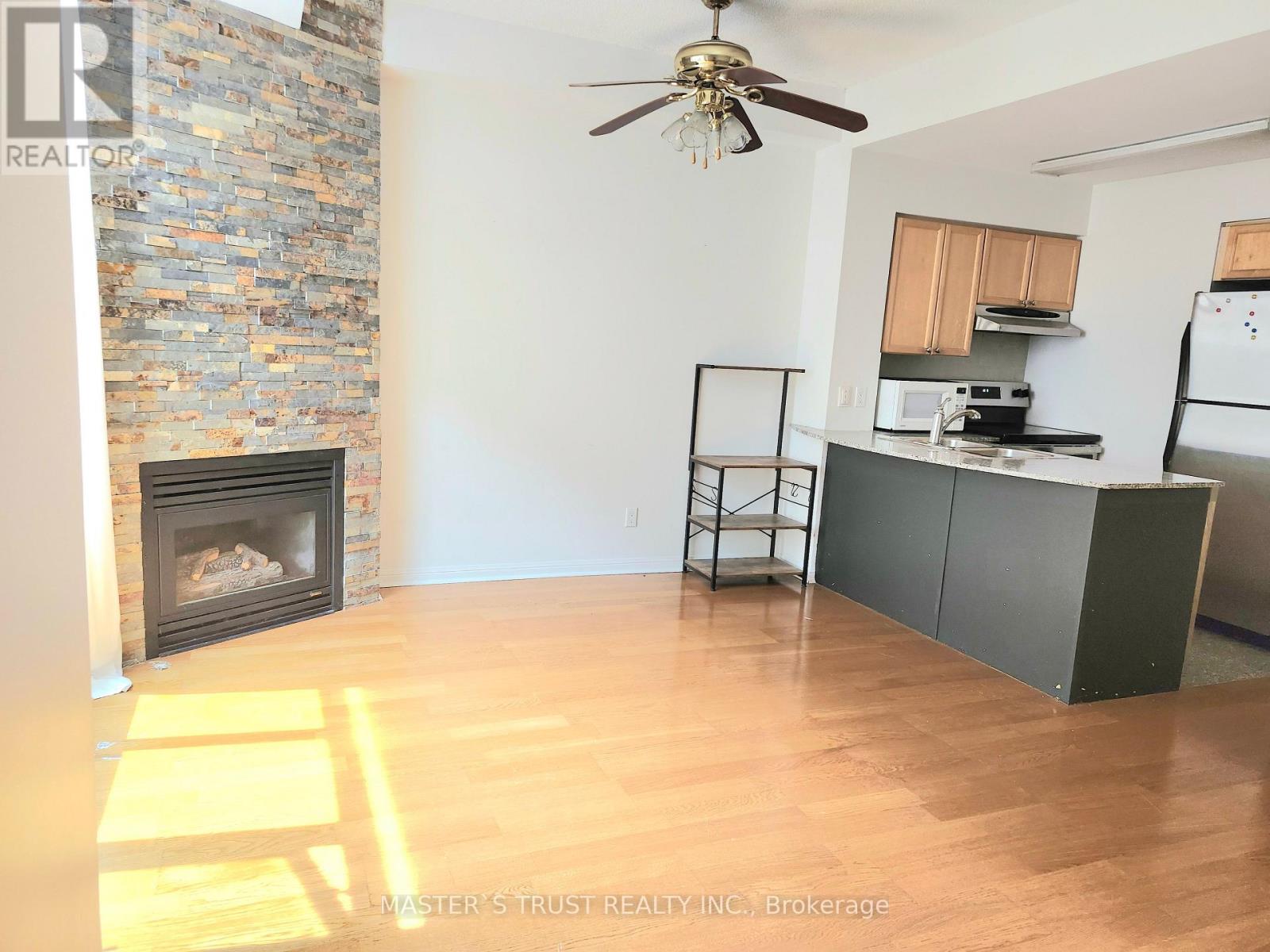238 - 30 Stadium Road, Toronto, Ontario  M5V 3P4 - Photo 8 - C13033350