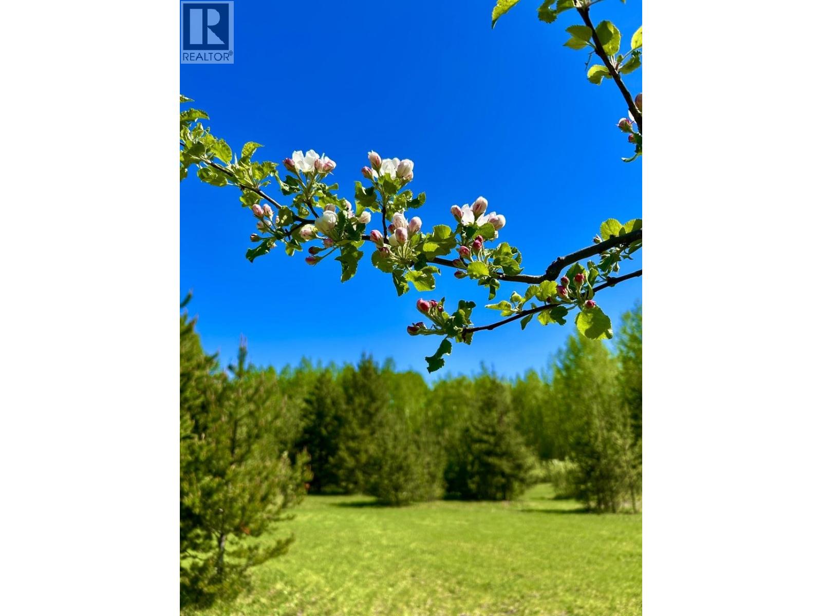 Lot A & 3 Cedarvale Kitwanga Road, Kitwanga, British Columbia  V0J 2A0 - Photo 4 - R3125390