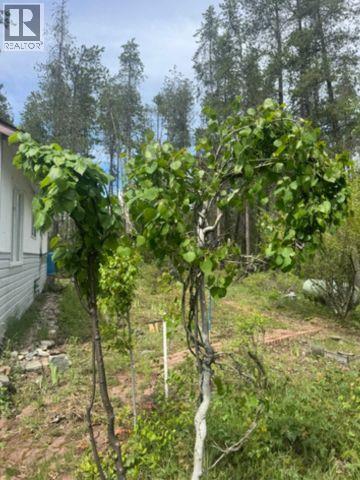 8146 95 Highway, Kingsgate, British Columbia  V0B 1V1 - Photo 13 - 10388067