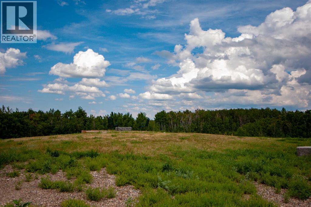 37 Buffalo Lane, Rural Stettler No. 6, Alberta  T0C 3B0 - Photo 4 - A2234189