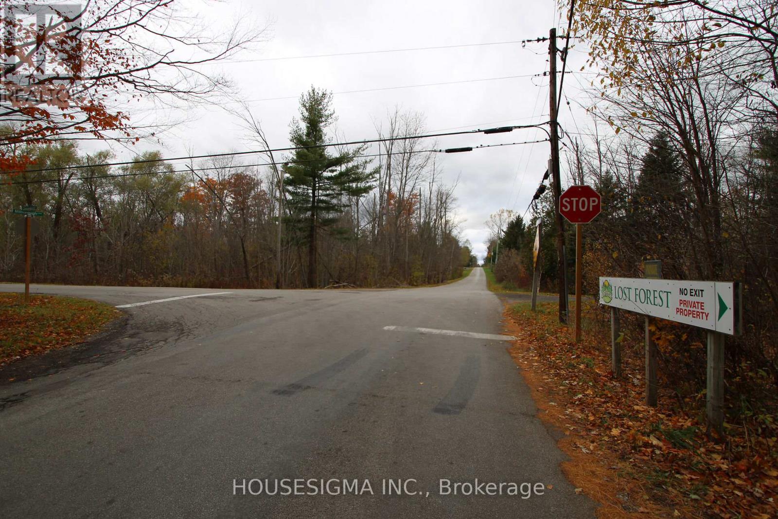 4449 Milburough - 5 Tamarac Line, Burlington, Ontario  L7P 0C5 - Photo 23 - W13016536