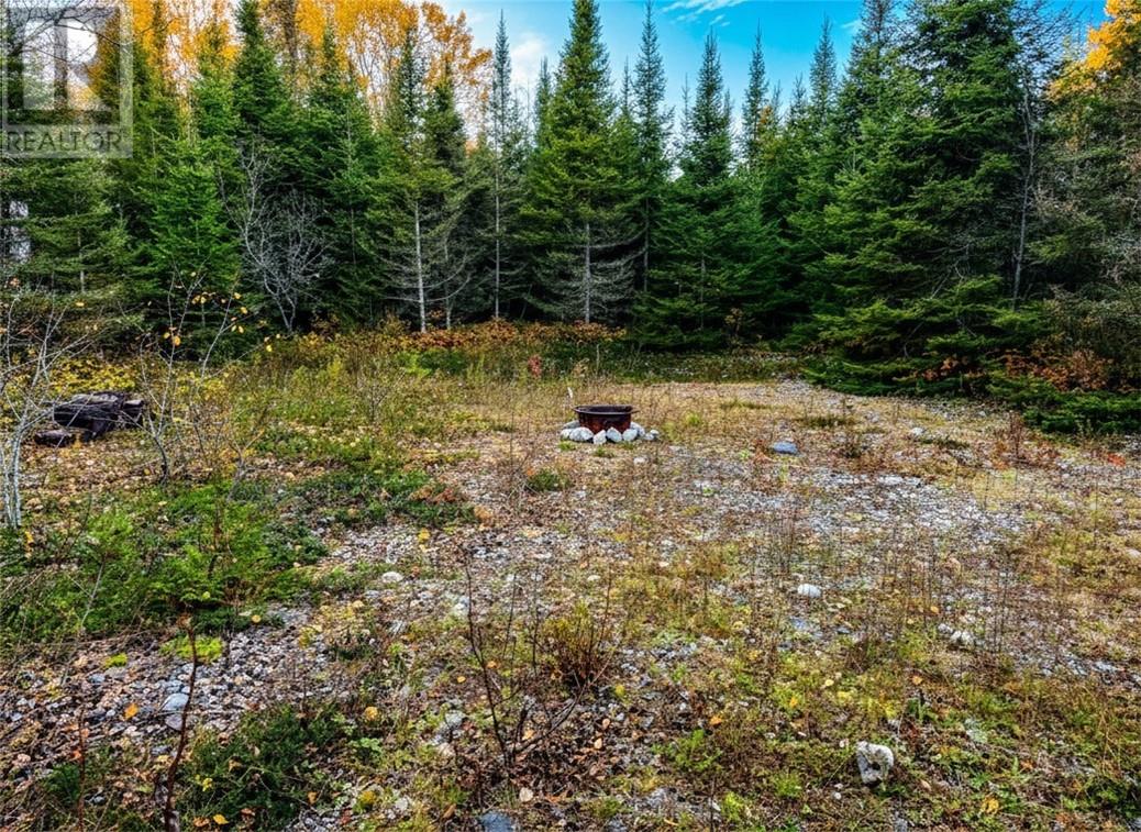 N/a Beaver Road Unit# Lot 5, Spring Bay, Ontario  P0P 2B0 - Photo 4 - 2127882