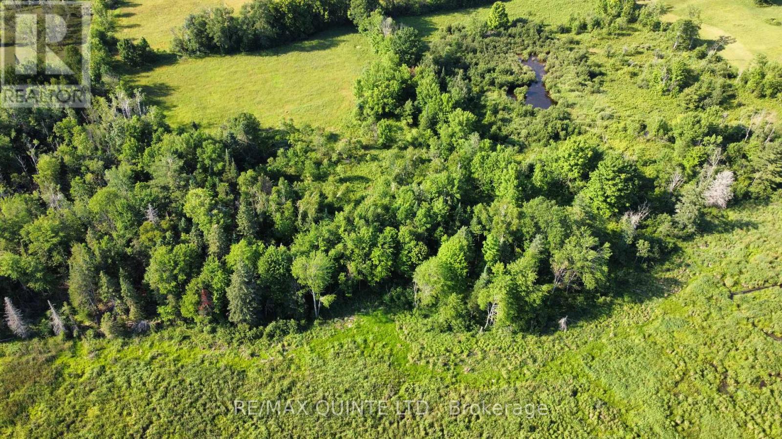 494 Twin Sister Lakes Road, Marmora And Lake, Ontario  K0K 2M0 - Photo 14 - X12637524