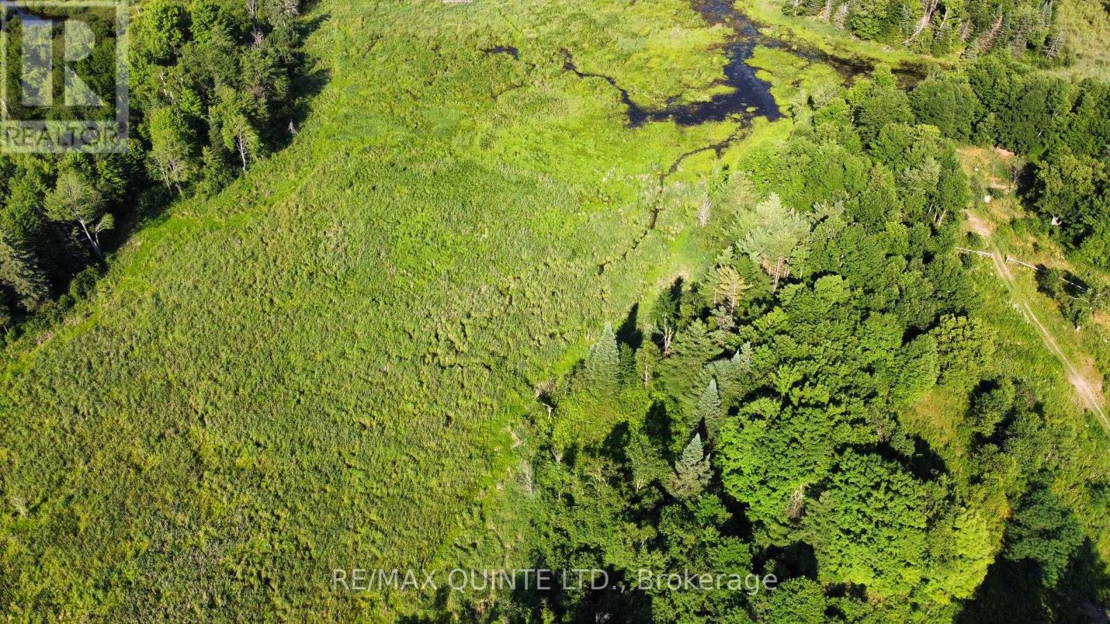 494 Twin Sister Lakes Road, Marmora And Lake, Ontario  K0K 2M0 - Photo 10 - X12637524