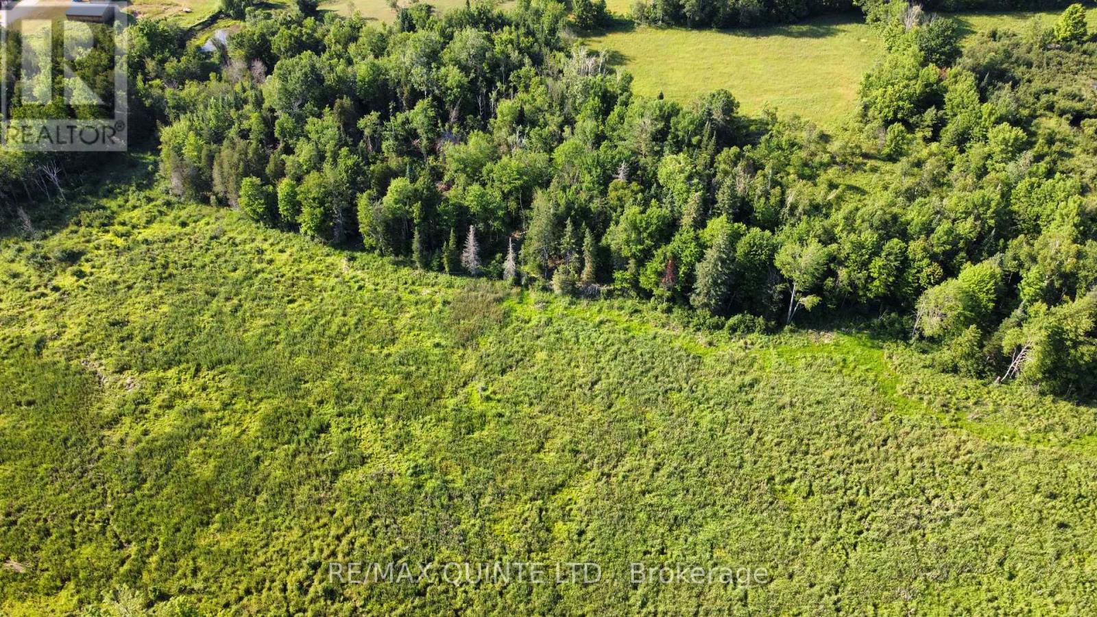 494 Twin Sister Lakes Road, Marmora And Lake, Ontario  K0K 2M0 - Photo 12 - X12637524