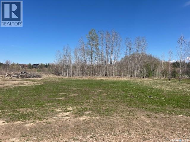 108 Northern Meadows Crescent, Beaver River Rm No. 622, Saskatchewan  S0M 1A0 - Photo 1 - SK036526