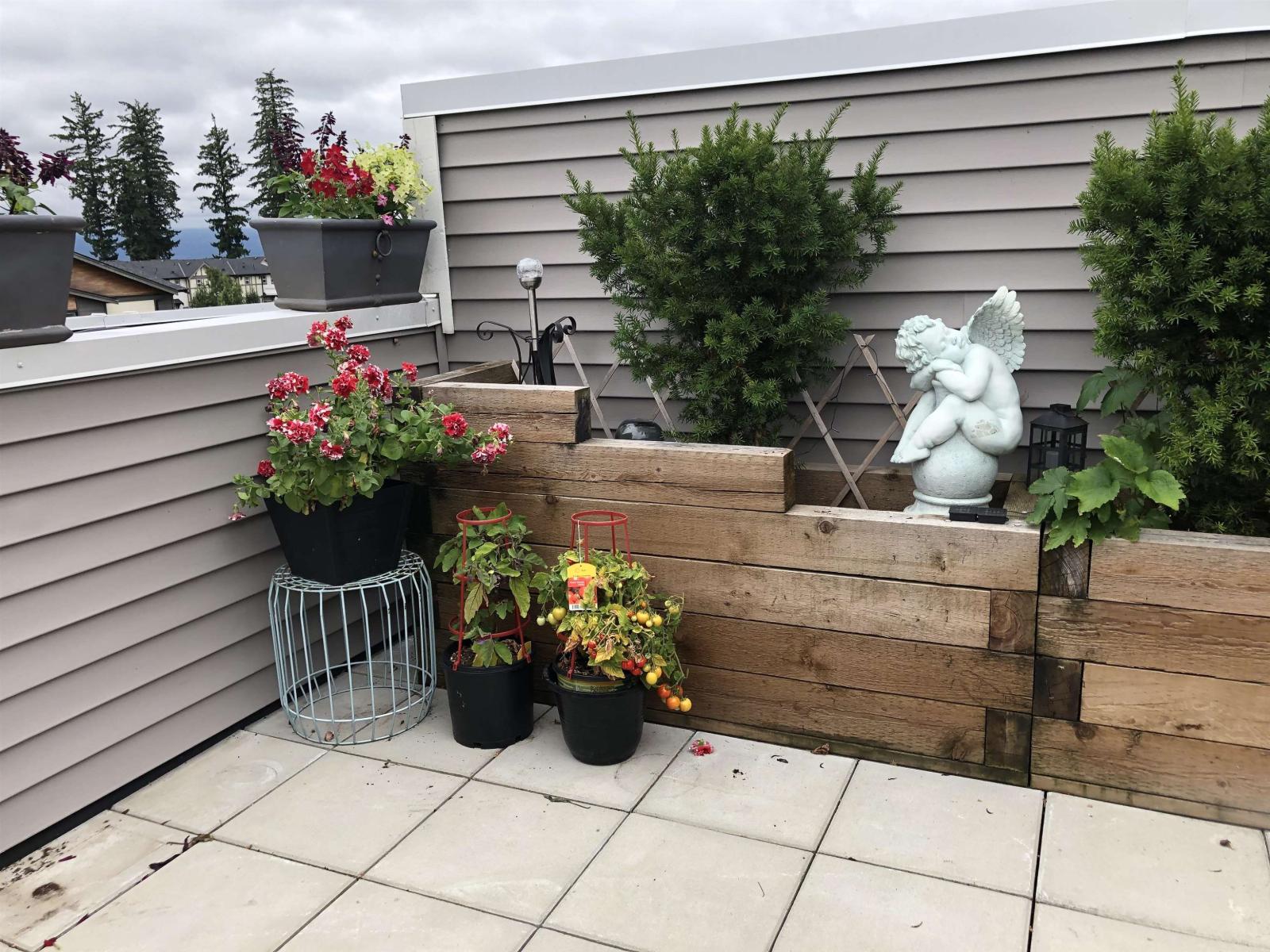 63 20857 77a Avenue, Langley, British Columbia  V2Y 0W7 - Photo 23 - R3093428