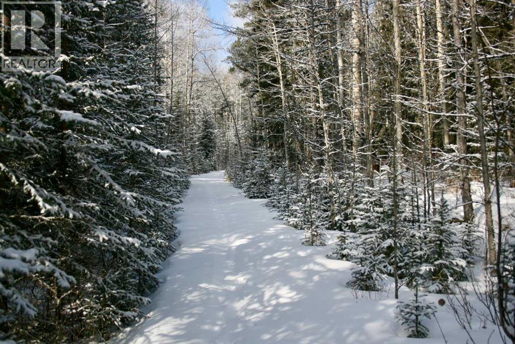 60144 310a Township, Rural Bighorn No. 8, Alberta  T0M 0W0 - Photo 33 - A2297475