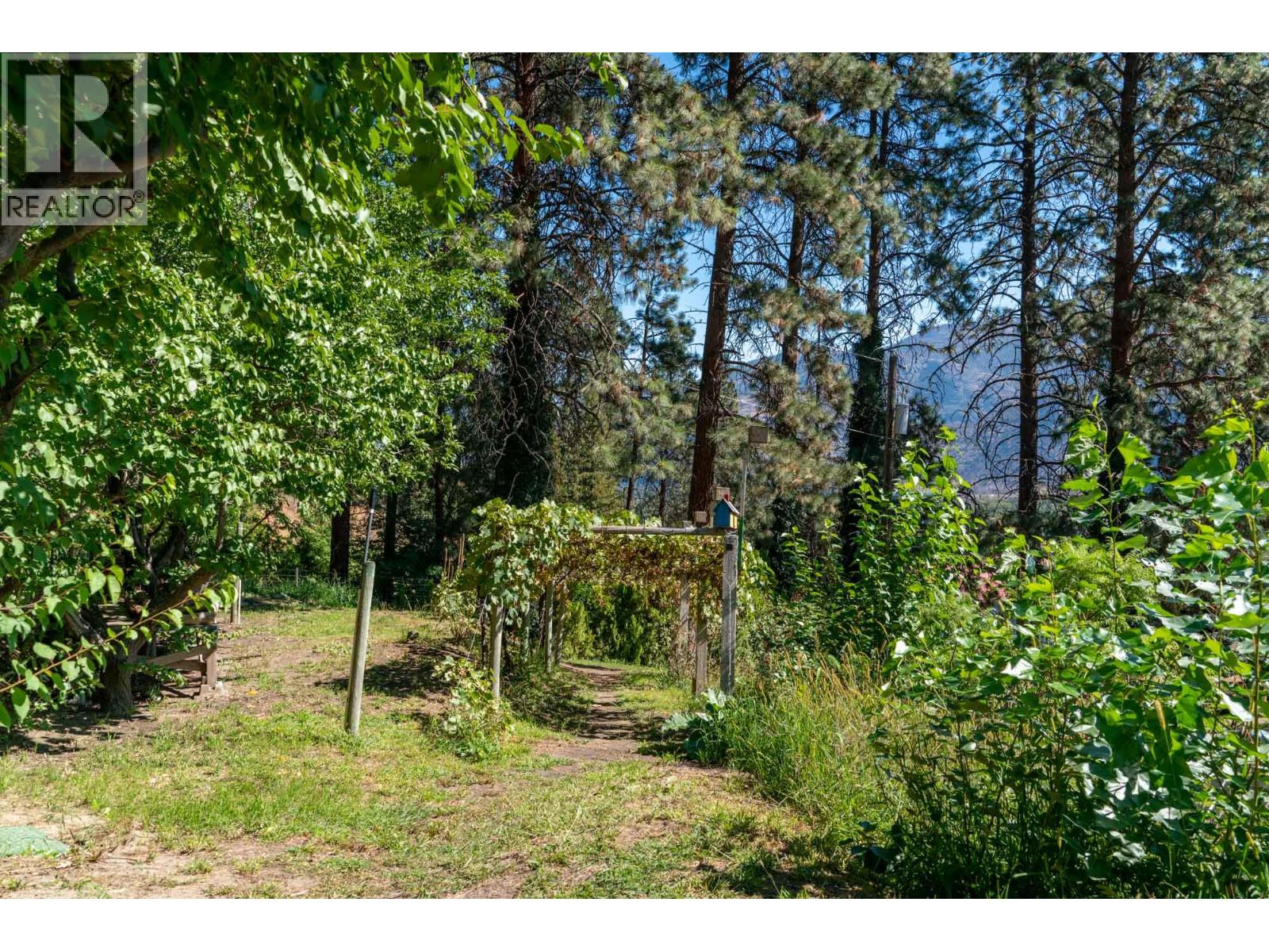 483 Pinehill Road, Oliver, British Columbia  V0H 1T5 - Photo 23 - 10386012