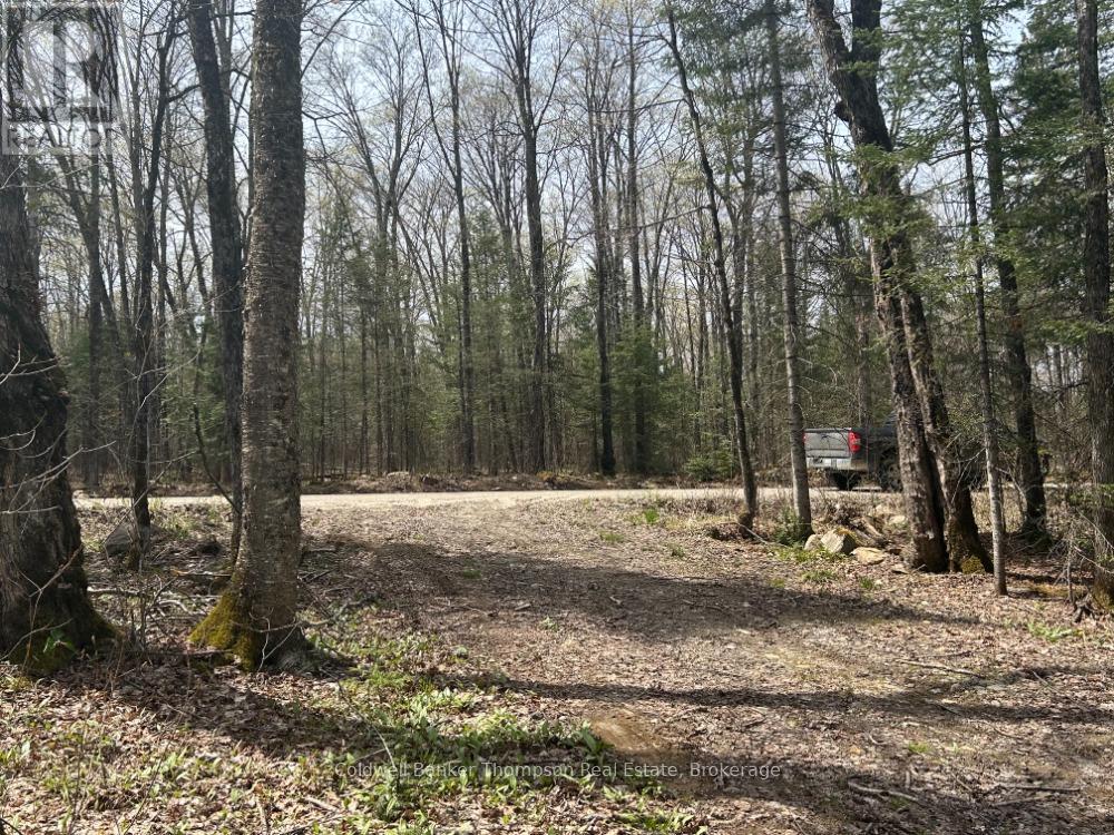 $114,9000 Ely Side Road, Armour, Ontario