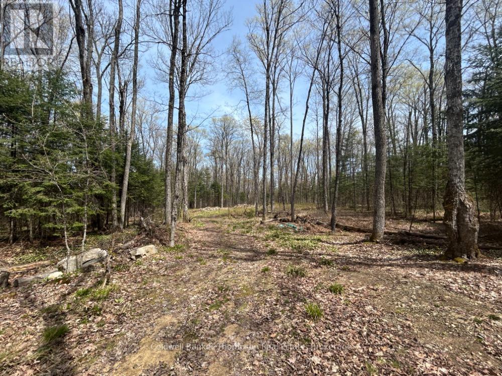 0 Ely Side Road, Armour, Ontario  P0A 1C0 - Photo 2 - X13150080