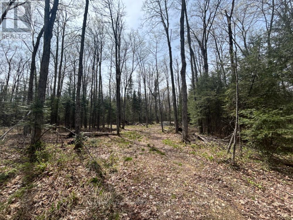 0 Ely Side Road, Armour, Ontario  P0A 1C0 - Photo 6 - X13150080