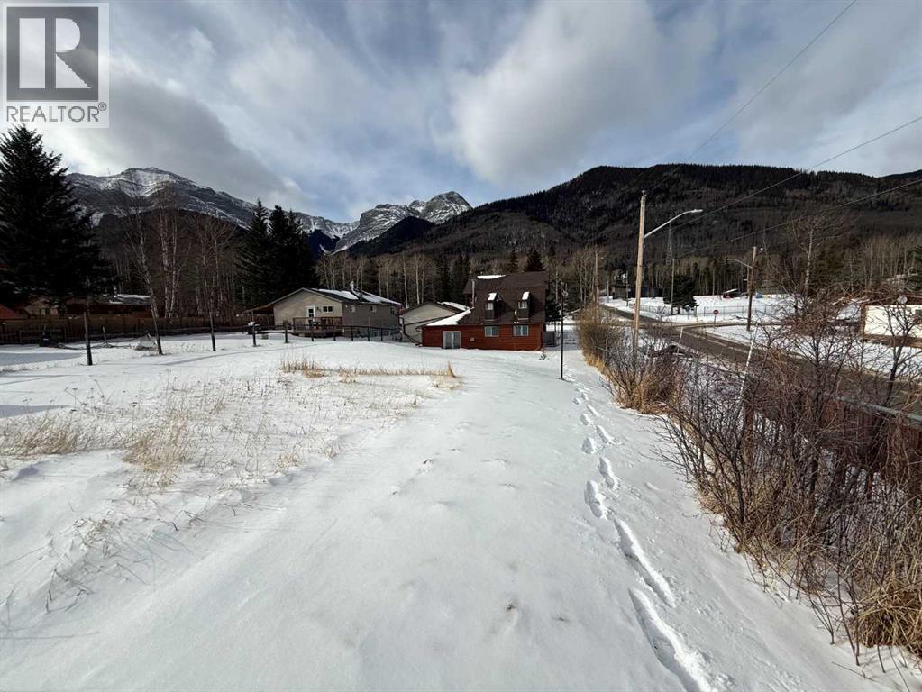 4933 Centre Street, Brule, Alberta  T7V 1Z1 - Photo 21 - A2289096