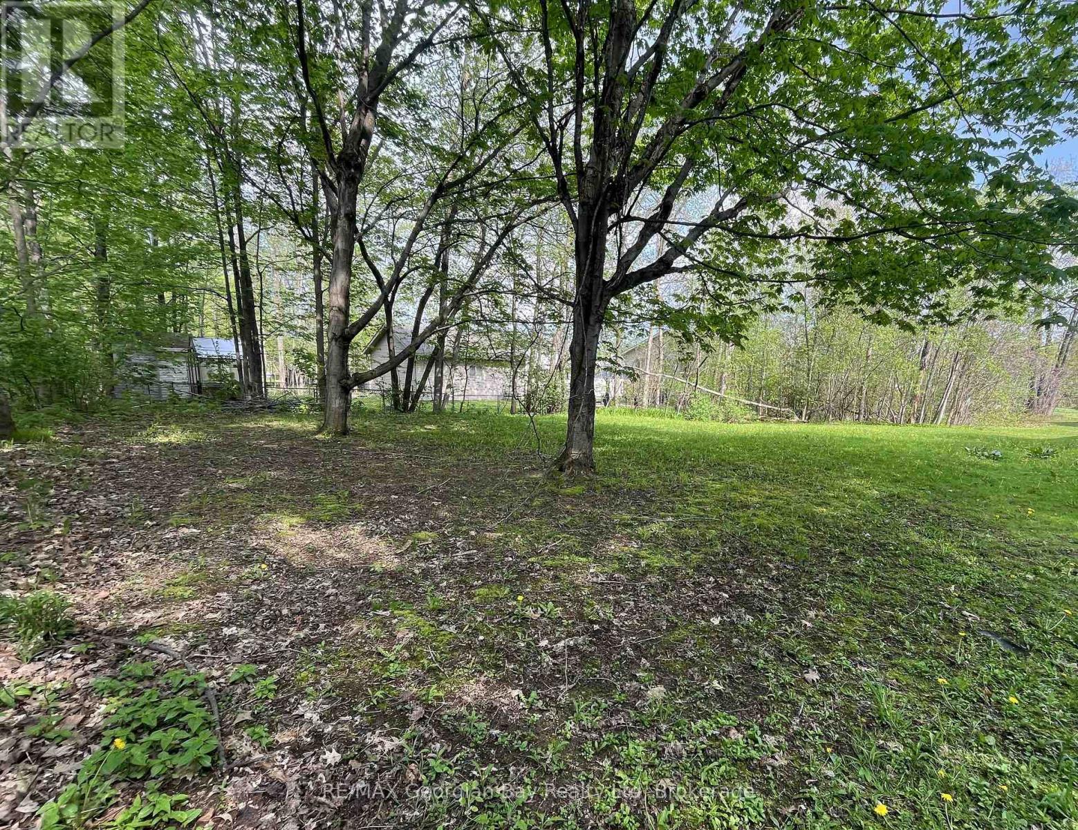 50 George Street, Tay, Ontario L0K 2A0 - Photo 5 - S13150462