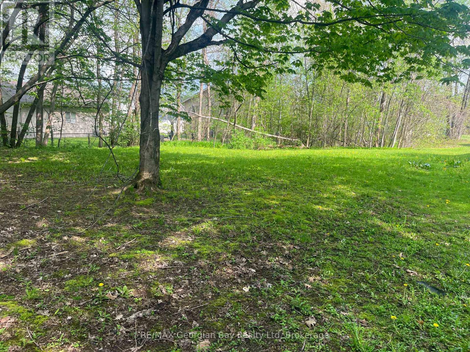 50 George Street, Tay, Ontario L0K 2A0 - Photo 6 - S13150462