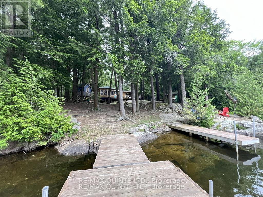 1549 Gull Lake Lane, Frontenac, Ontario  K0H 1B0 - Photo 4 - X13150268