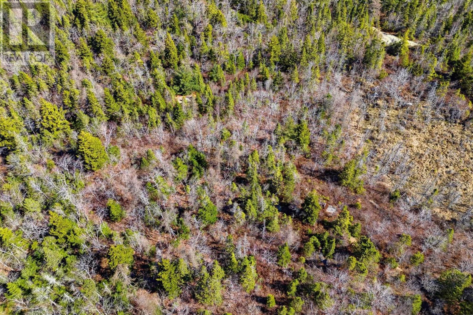 547 Herring Cove Road, Spryfield, Nova Scotia  B3R 1Z6 - Photo 5 - 202608102