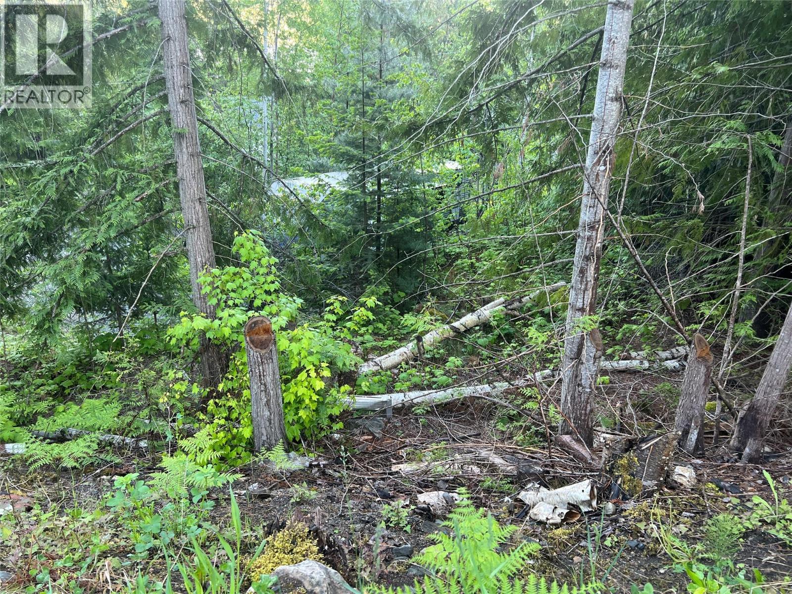 8743 Squilax-Anglemont Road, St. Ives, British Columbia  V0E 1M9 - Photo 3 - 10388165