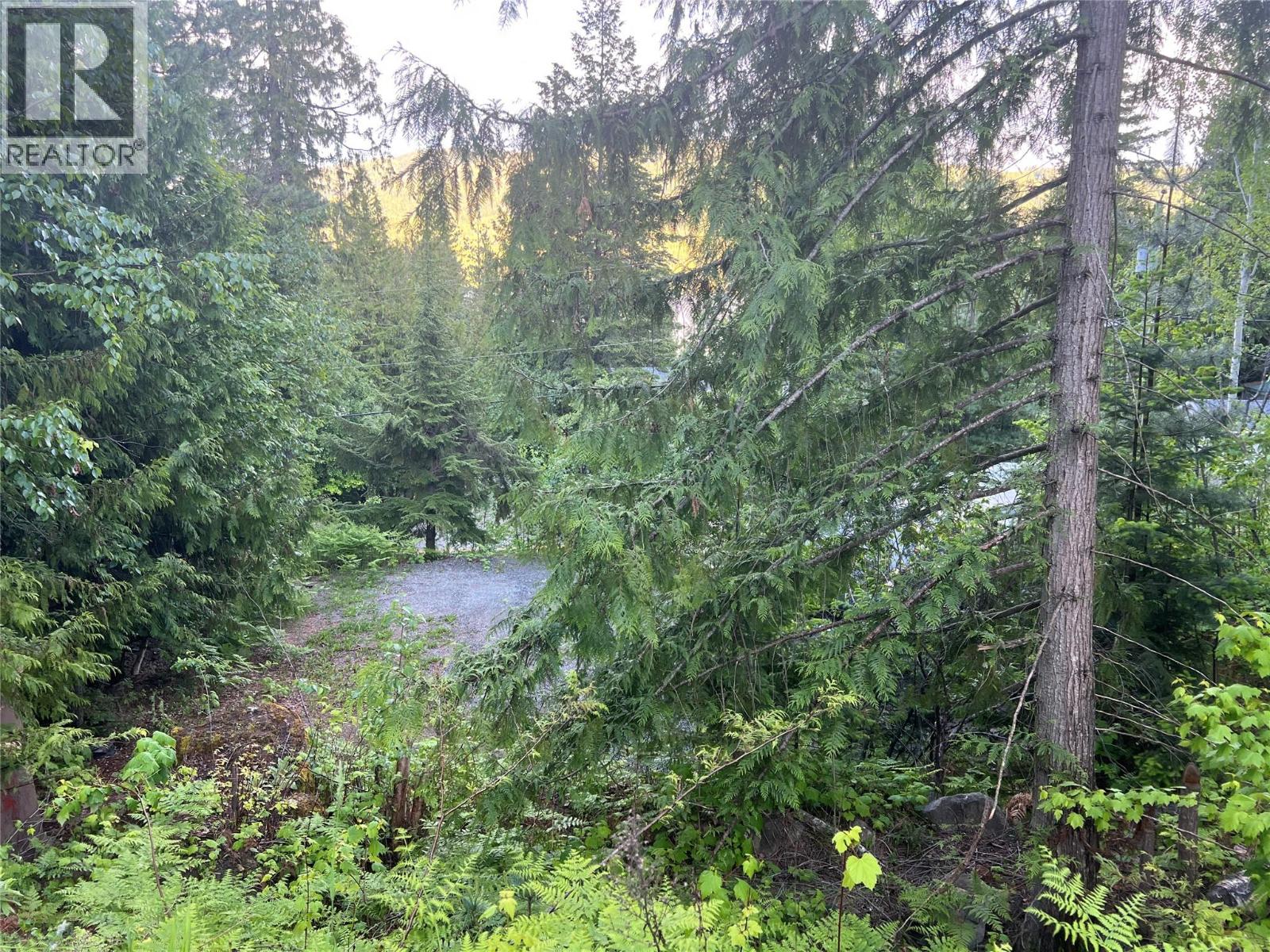 8743 Squilax-Anglemont Road, St. Ives, British Columbia  V0E 1M9 - Photo 4 - 10388165