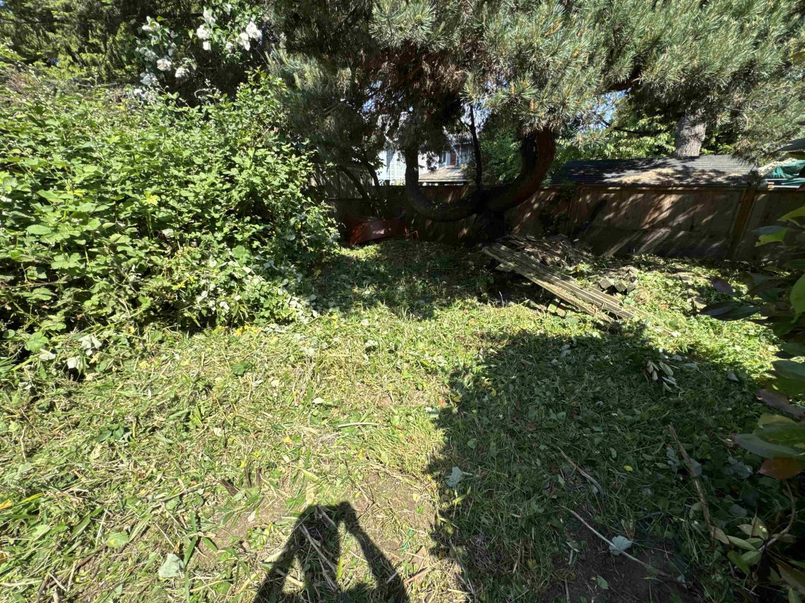 15671 Marine Drive, White Rock, British Columbia  V4B 1E3 - Photo 5 - R3059652