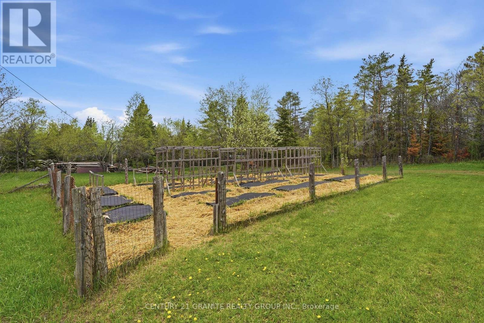 439 Rose Island Road, Wollaston, Ontario  K0L 1P0 - Photo 43 - X13150576
