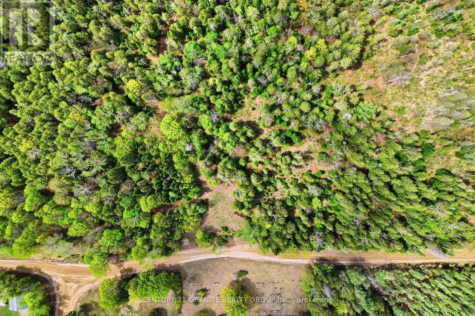 393 ROSE ISLAND ROAD, Wollaston, Ontario