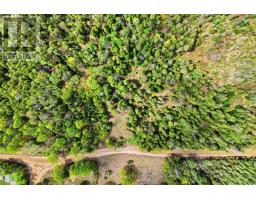 393 ROSE ISLAND ROAD, Wollaston, Ontario