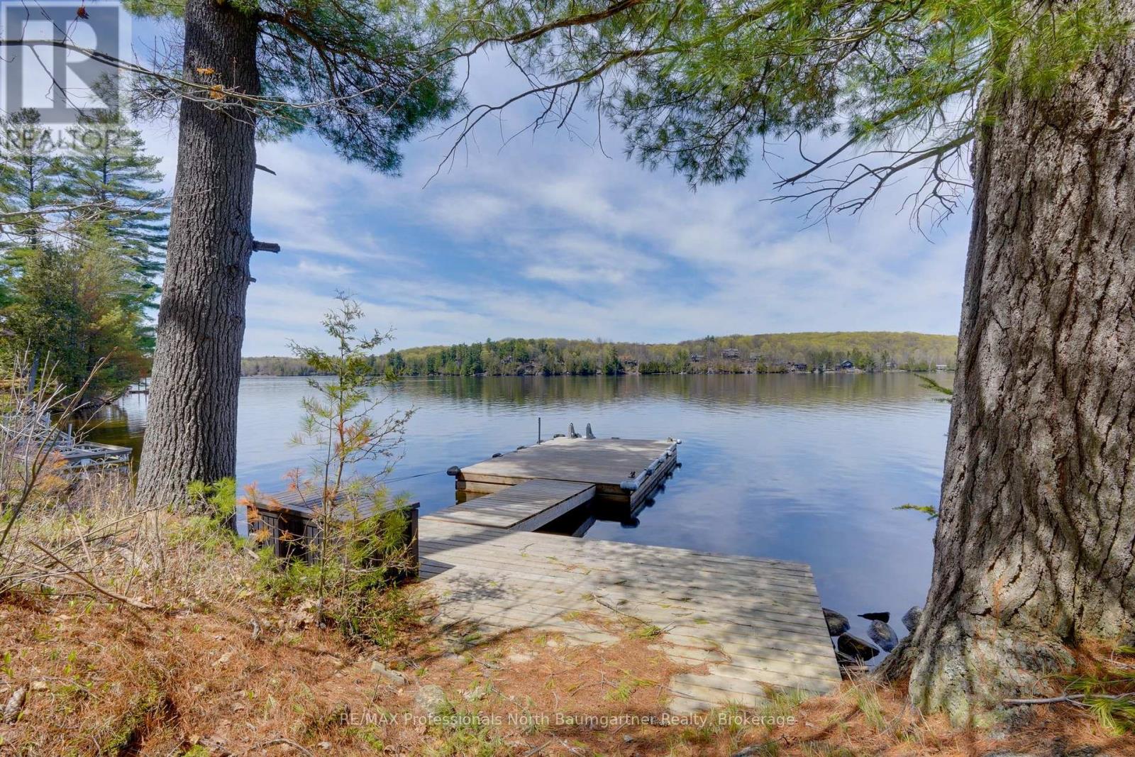 1506 Kashagawigamog Lake Road, Minden Hills, Ontario  K0M 2K0 - Photo 4 - X13150672