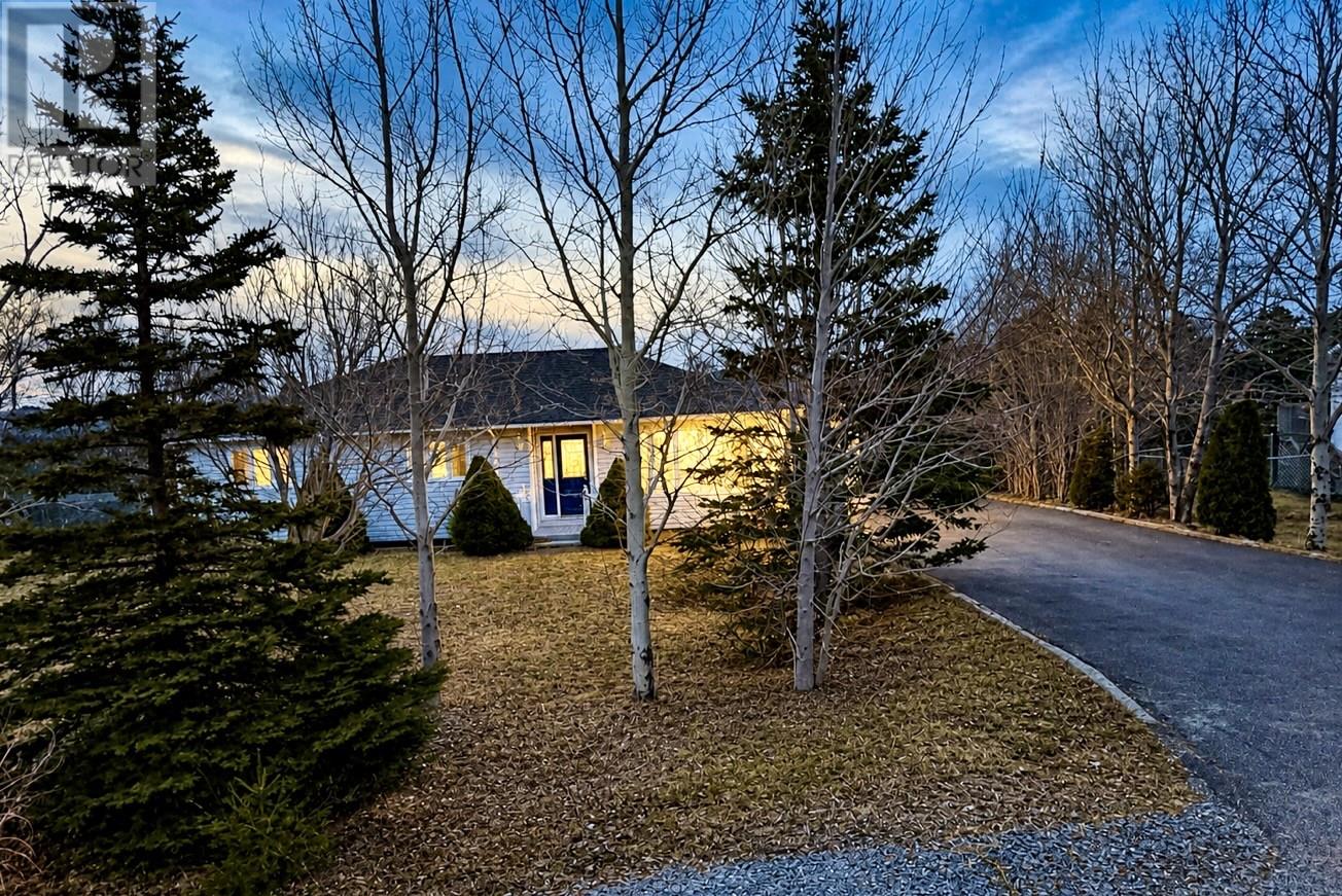79 Kimberley Farm Drive, Winterland, Newfoundland & Labrador  A0E 2Y0 - Photo 1 - 1296899