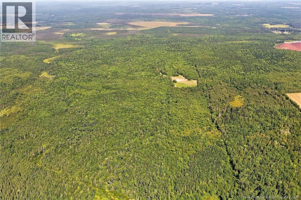 Lot Richard Road, Saint-Paul, New Brunswick  E4T 3T5 - Photo 13 - NB139947