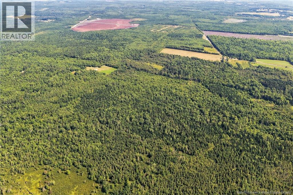 Lot Richard Road, Saint-Paul, New Brunswick  E4T 3T5 - Photo 19 - NB139947