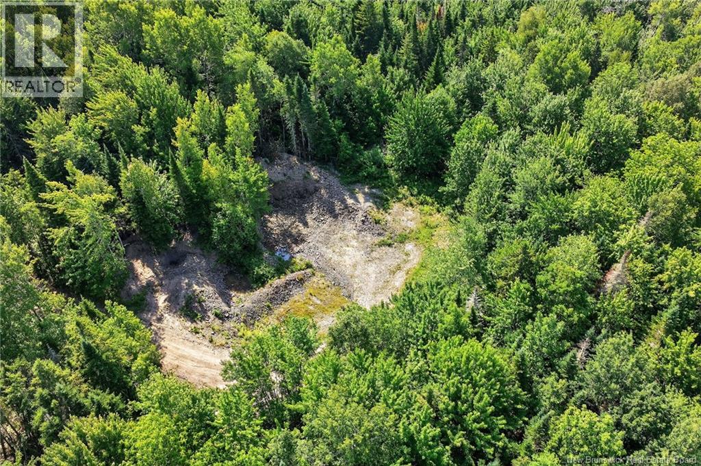 Lot Richard Road, Saint-Paul, New Brunswick  E4T 3T5 - Photo 9 - NB139947
