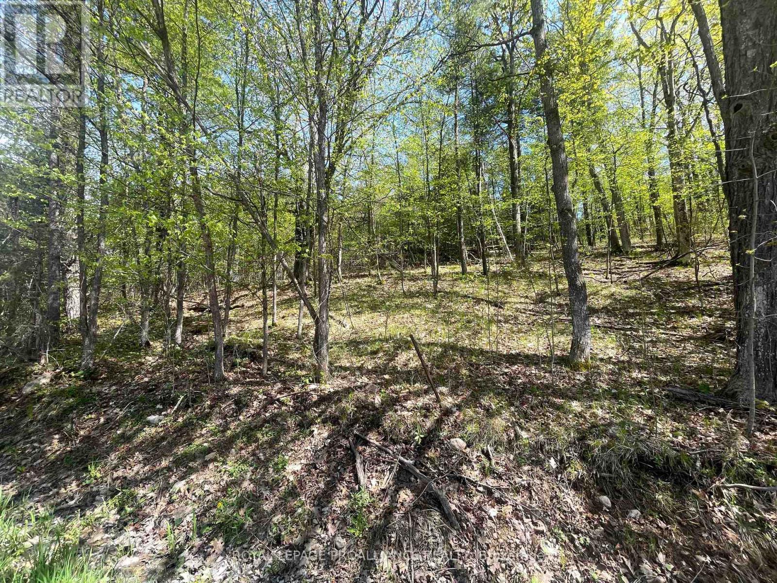 430 Beaver Road, Trent Hills, Ontario  K0K 1L0 - Photo 13 - X12877460