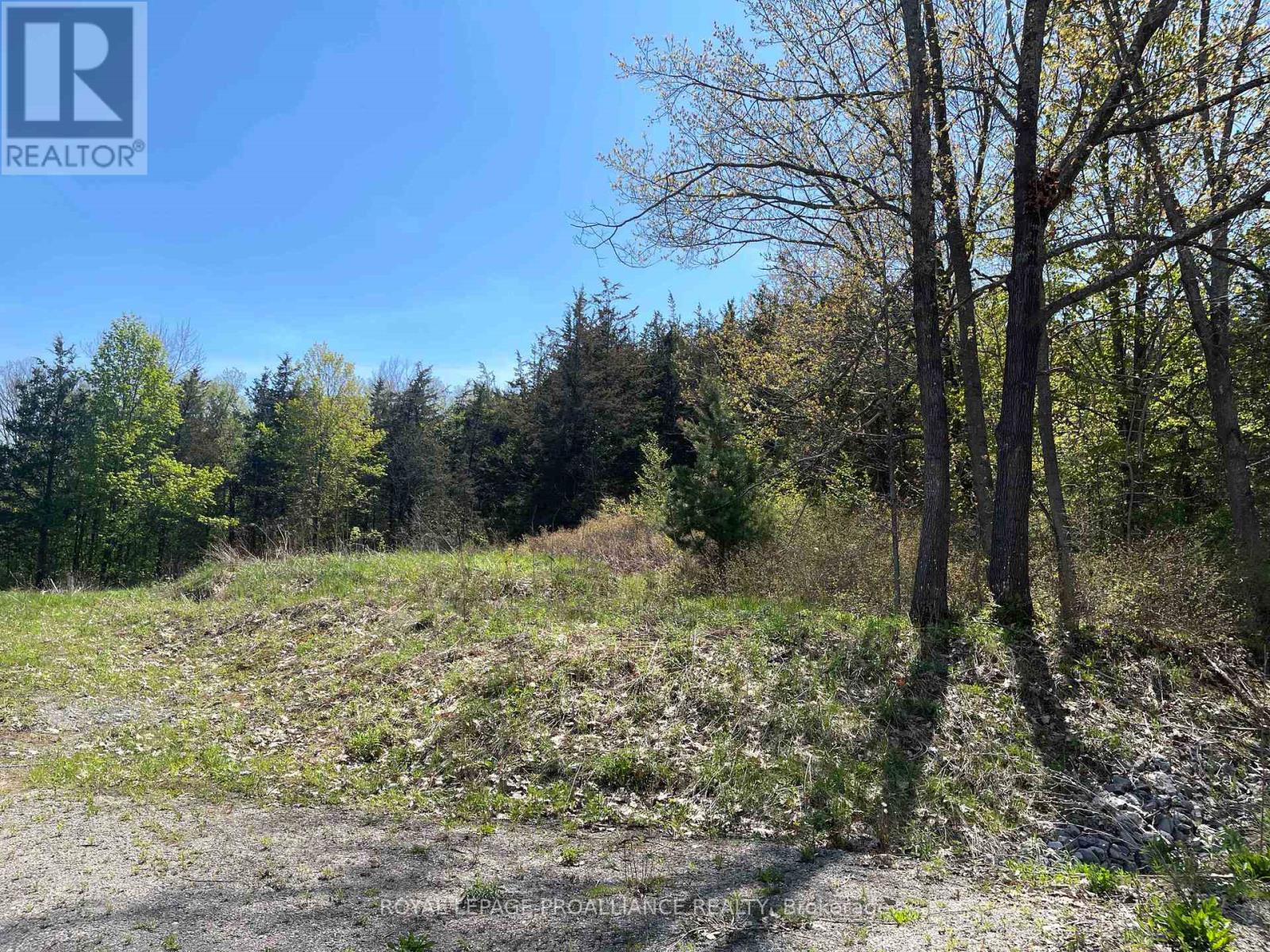 430 Beaver Road, Trent Hills, Ontario  K0K 1L0 - Photo 6 - X12877460