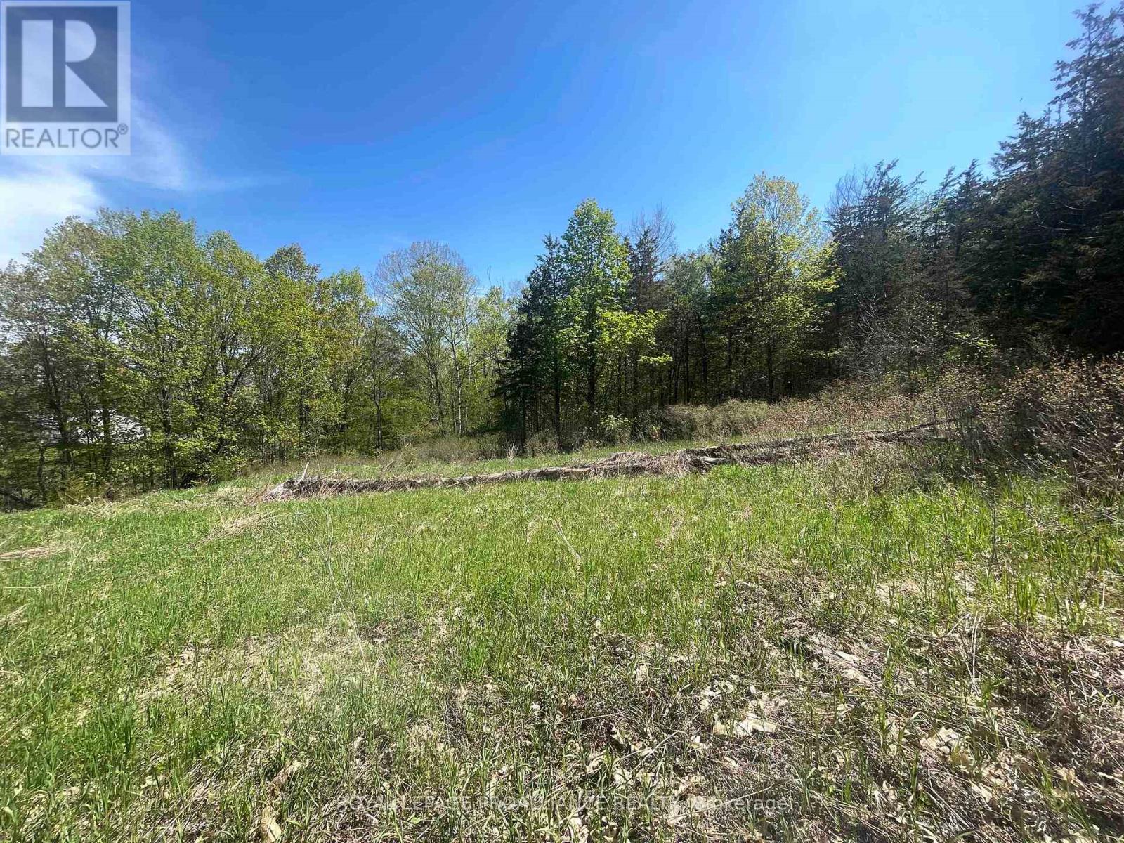 430 Beaver Road, Trent Hills, Ontario  K0K 1L0 - Photo 11 - X12877460