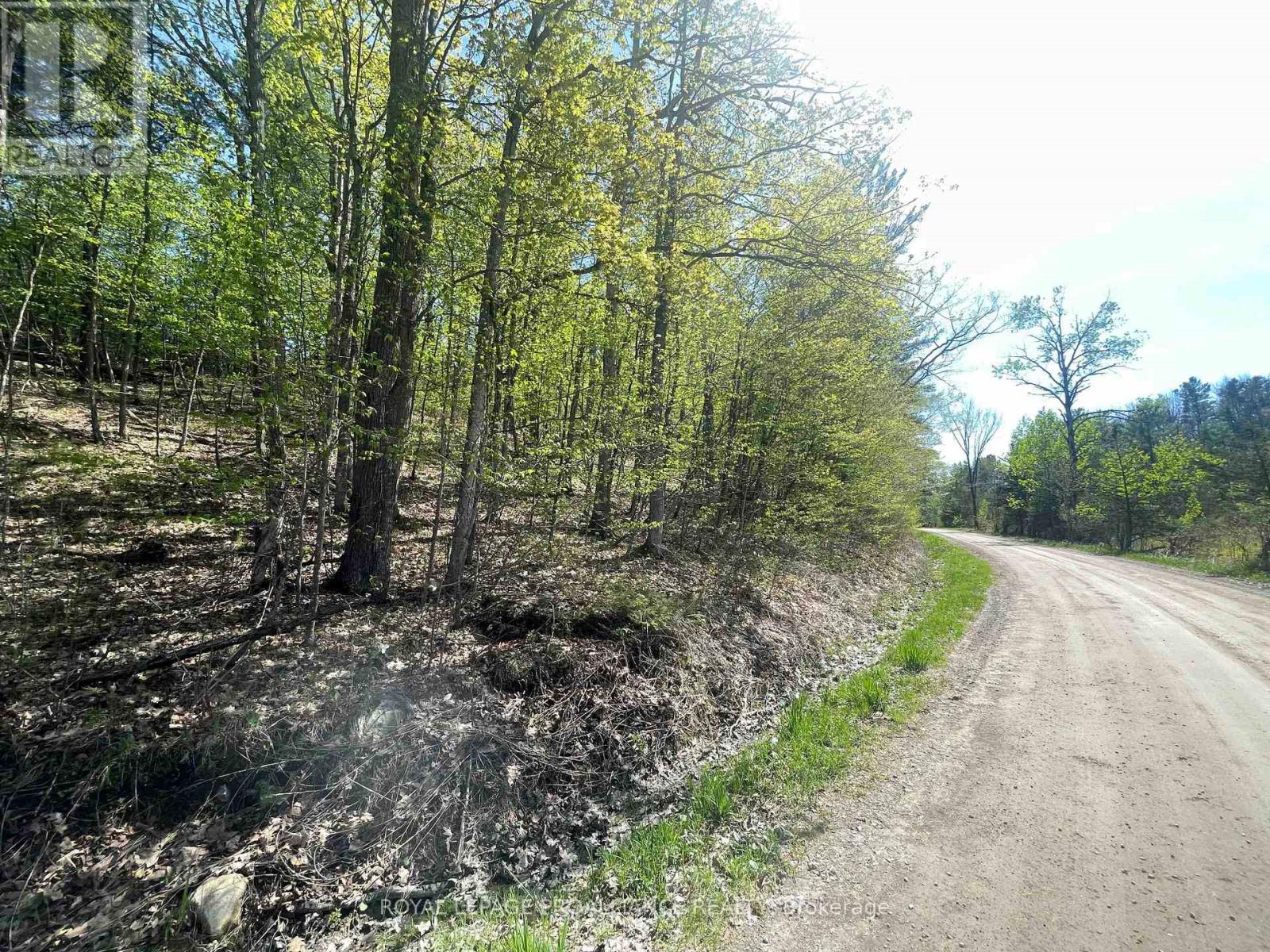 430 Beaver Road, Trent Hills, Ontario  K0K 1L0 - Photo 12 - X12877460