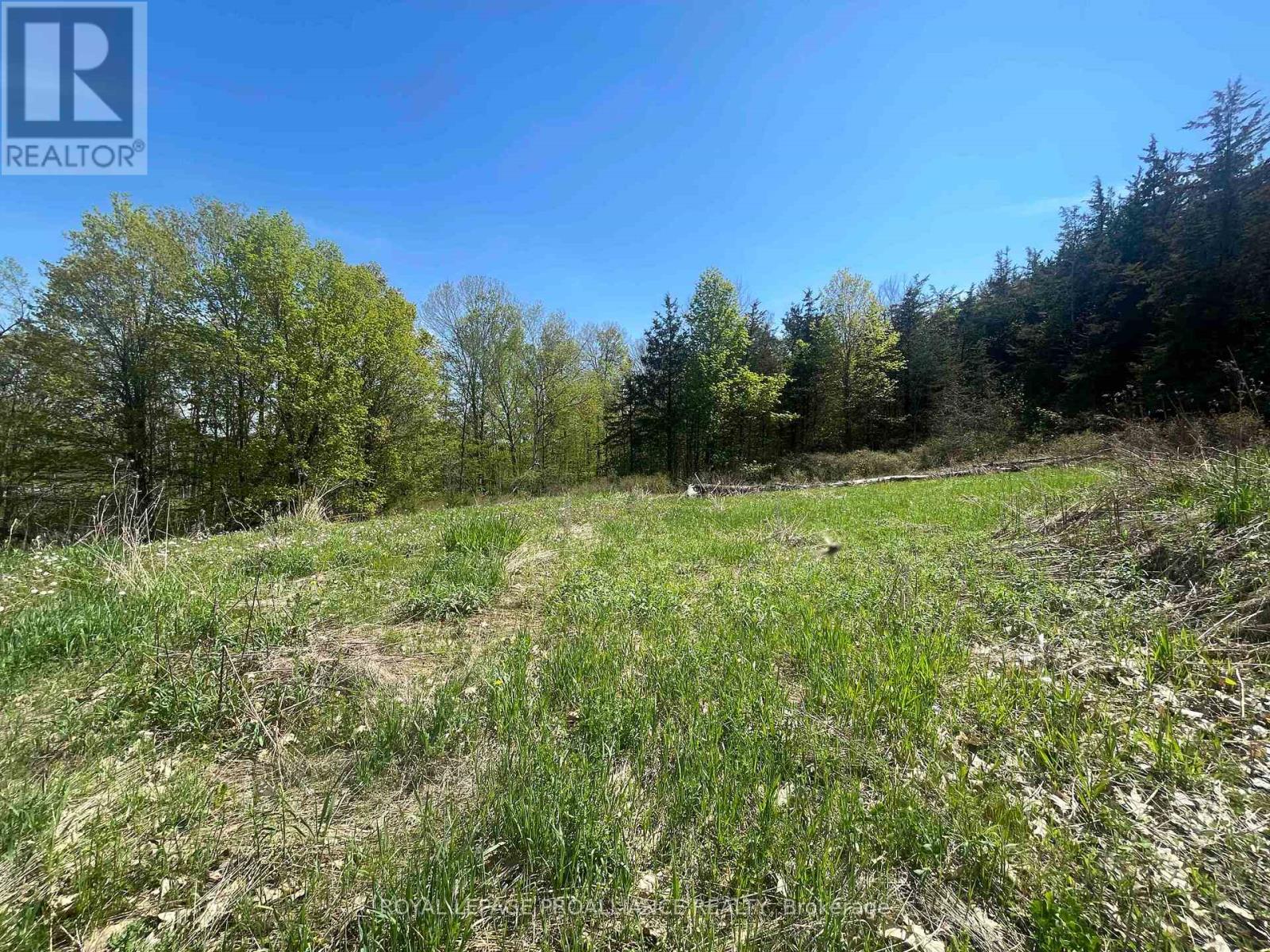 430 Beaver Road, Trent Hills, Ontario  K0K 1L0 - Photo 9 - X12877460