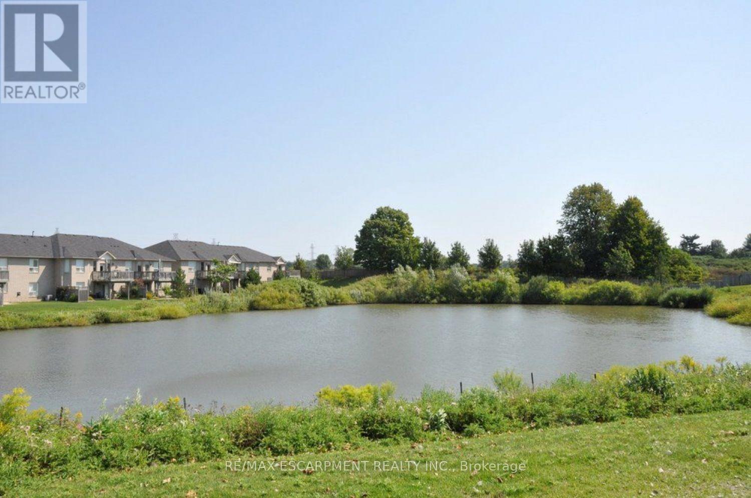 49 Riveroaks Drive, Hamilton, Ontario  L0R 1W0 - Photo 44 - X13150670