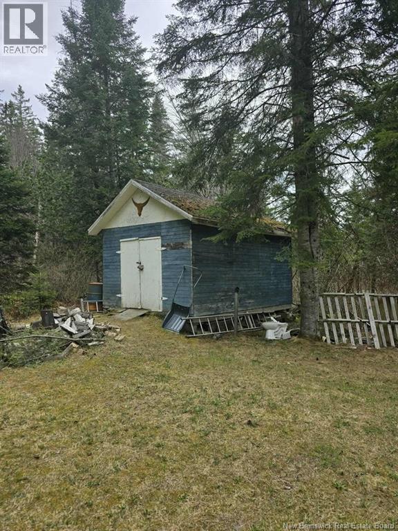 Little Forks Road, Green River, New Brunswick  E7C 2L4 - Photo 11 - NB139852