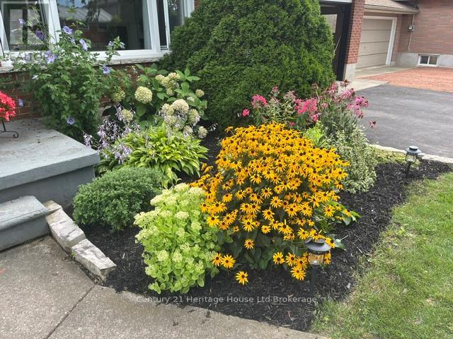 219 Brock Street, Zorra, Ontario N0M 2M0 - Photo 30 - X13151042