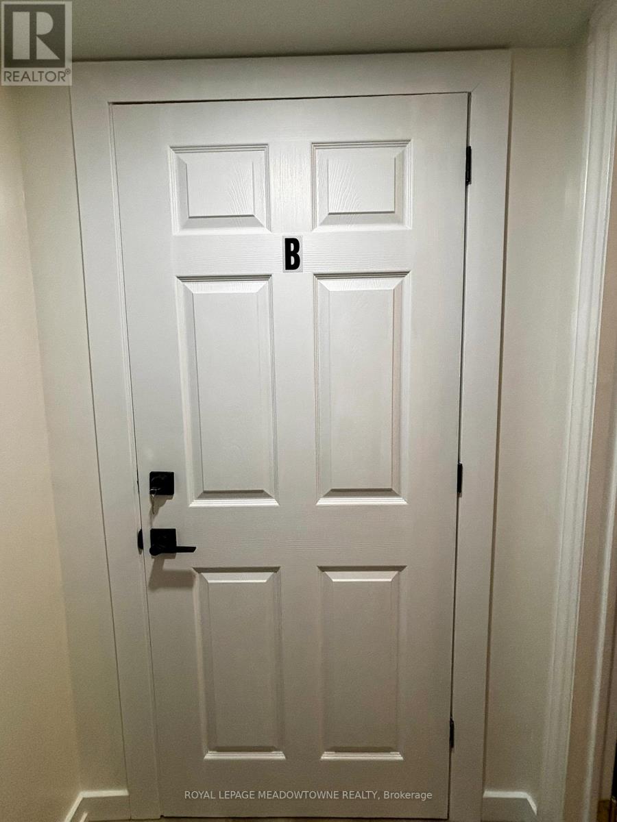Basement B - 736 Sunnypoint Drive, Newmarket, Ontario  L3Y 2Z8 - Photo 3 - N12968056