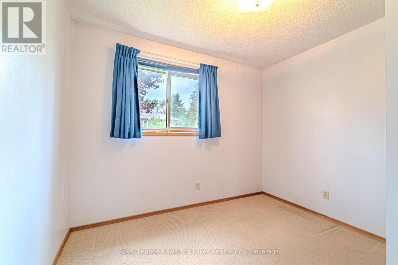 199 Mary Street W, Kawartha Lakes, Ontario  K9V 5N2 - Photo 19 - X13151252