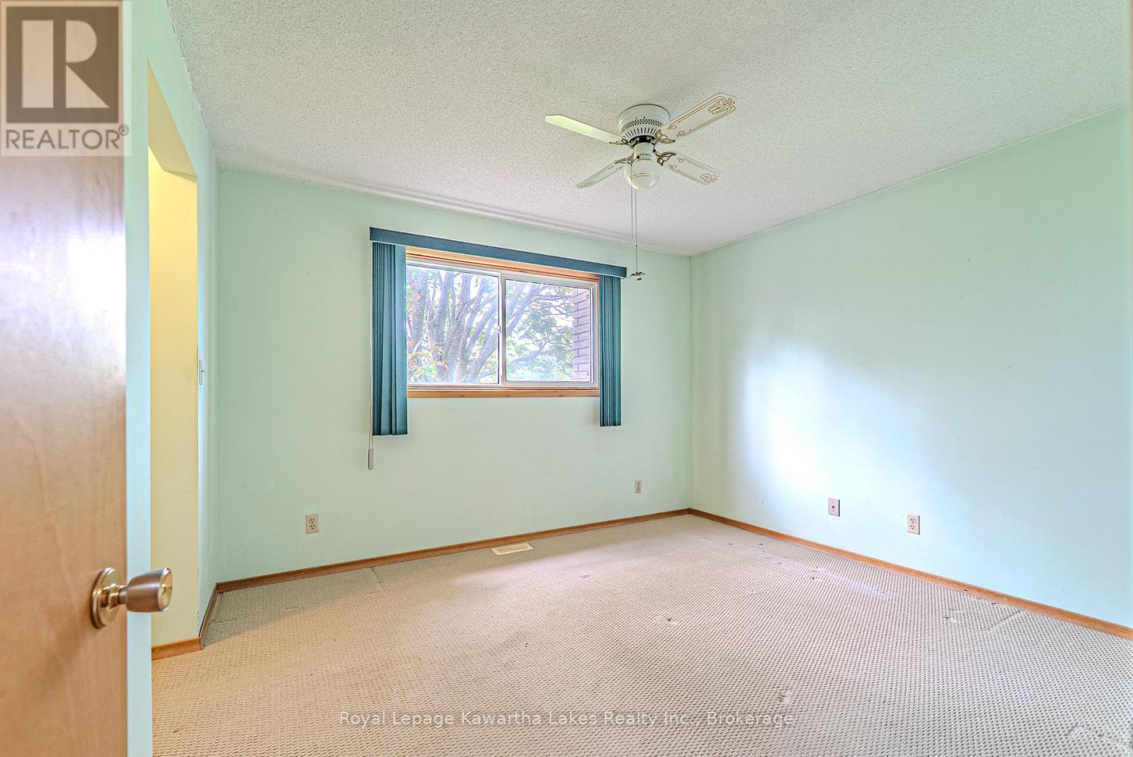 199 Mary Street W, Kawartha Lakes, Ontario  K9V 5N2 - Photo 20 - X13151252