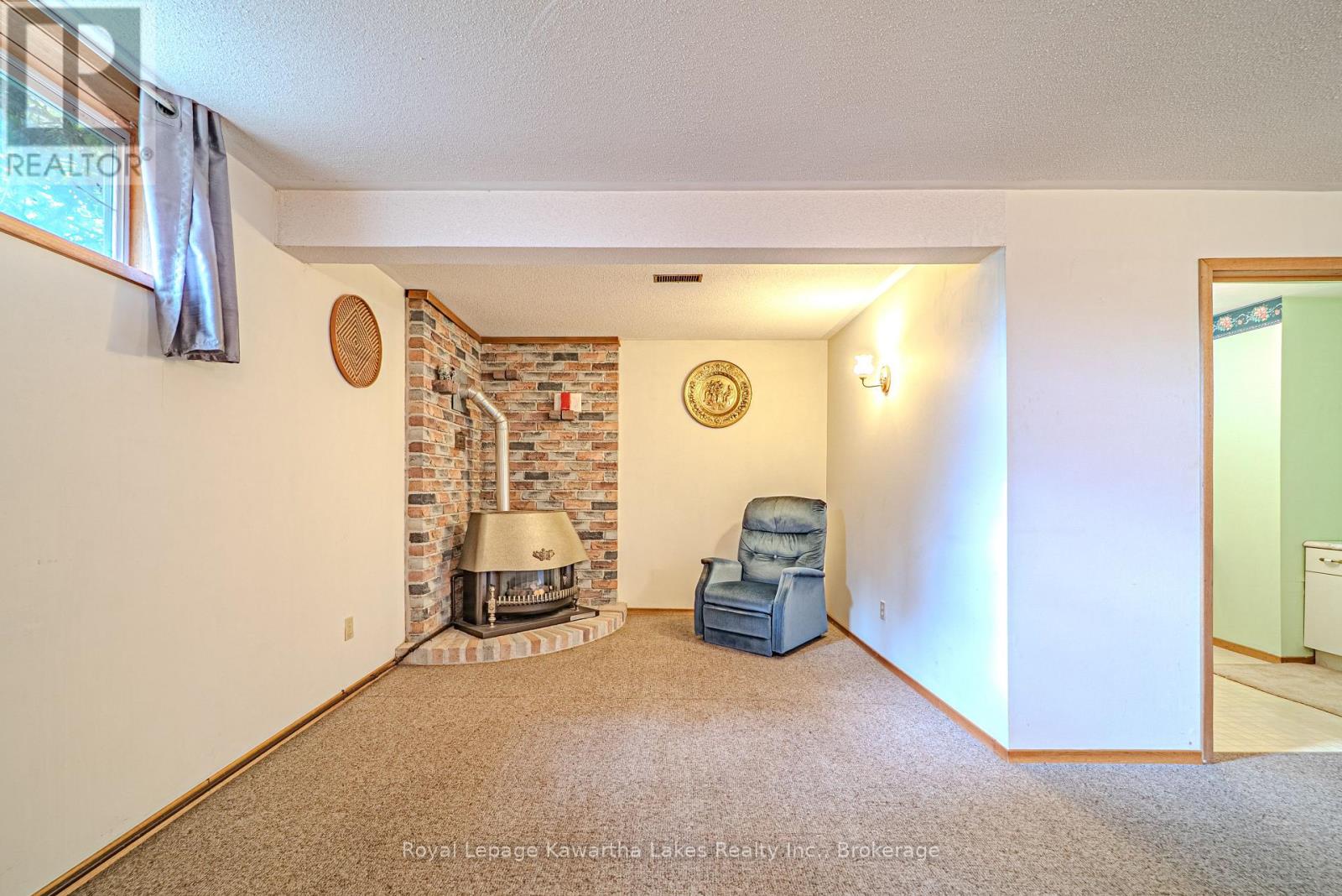 199 Mary Street W, Kawartha Lakes, Ontario  K9V 5N2 - Photo 29 - X13151252
