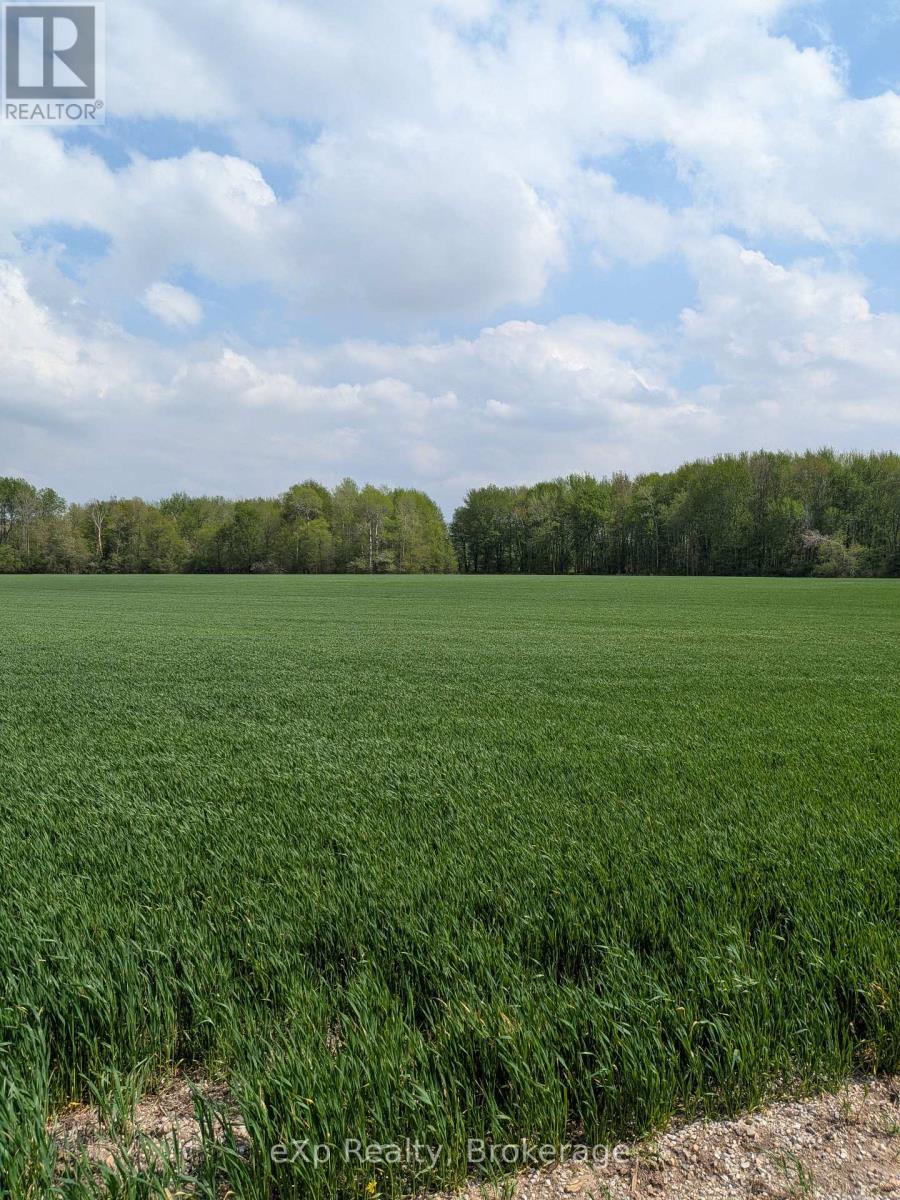 6150 Line 90 Road, North Perth, Ontario N0G 2P0 - Photo 3 - X13151210