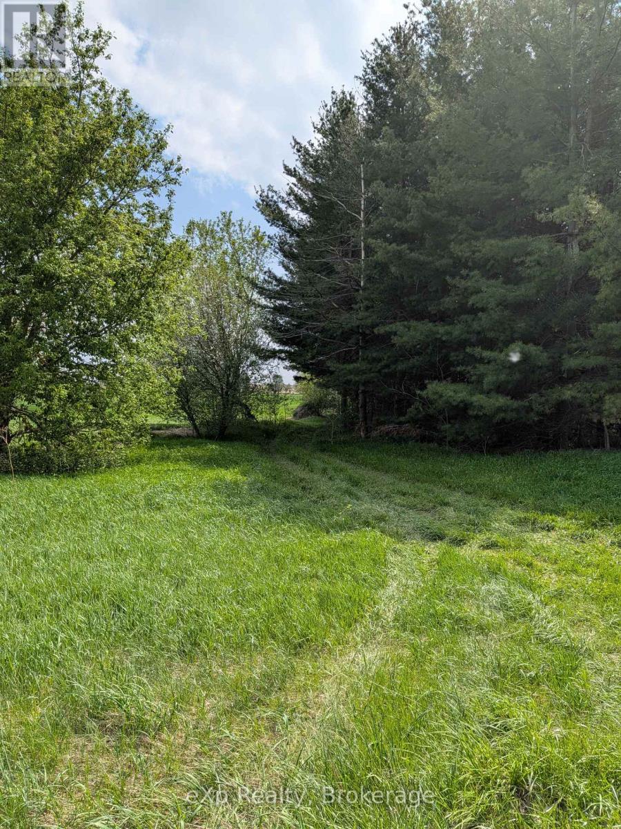 6150 Line 90 Road, North Perth, Ontario N0G 2P0 - Photo 4 - X13151210